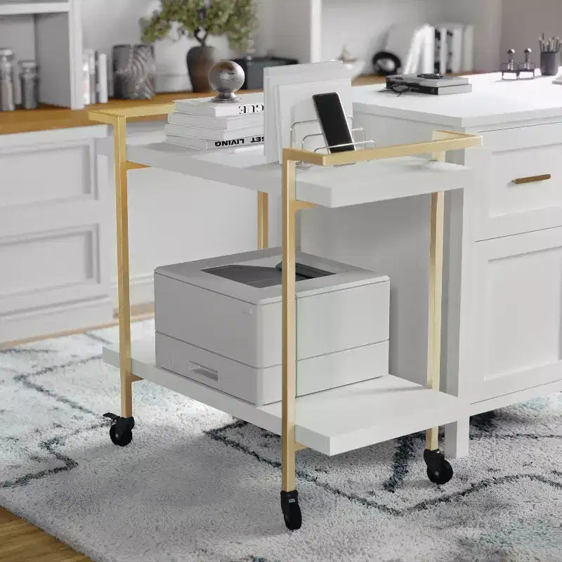 Carrello a 2 ripiani per stampante e archiviazione per ufficio con struttura in metallo